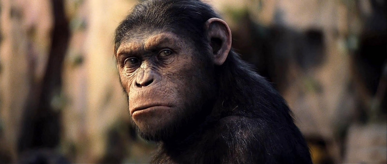 Просто шикарный слот. Обзор нового игрового автомата Planet of the Apes от NetEnt